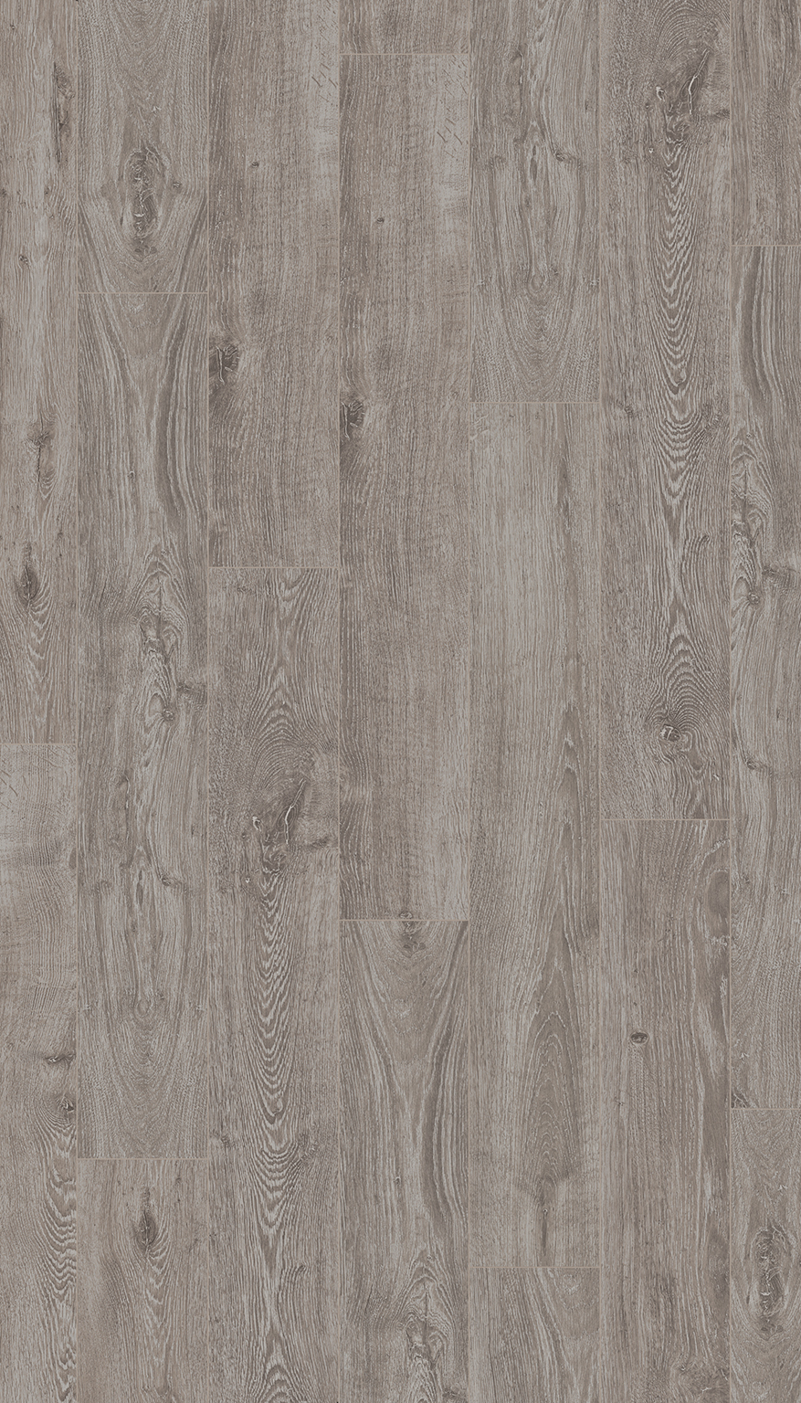 Laminat Basic 400 M4V Eiche Lichtgrau Seidenmatte Struktur Landhausdiele Minifase