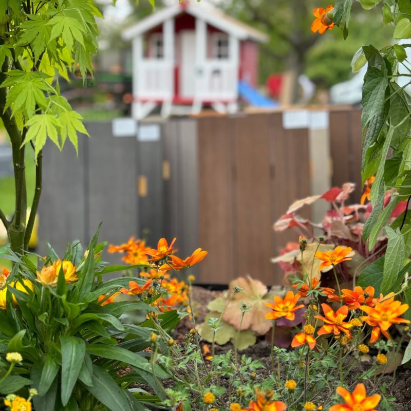 Naturgarten mit Gartenhaus