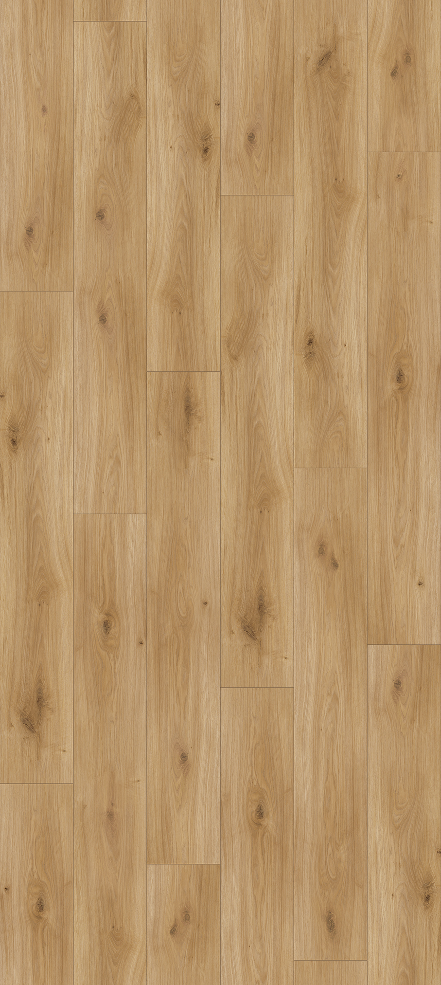 Laminat Basic 400 M4V Eiche Horizont Natur Seidenmatte Struktur Landhausdiele Minifase