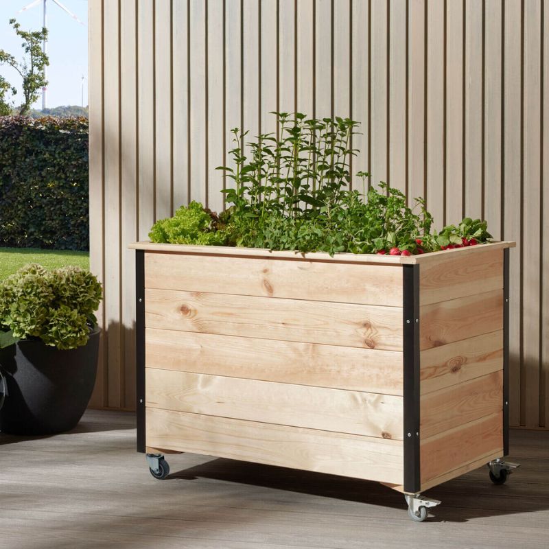 Hochbeet auf Rollen 88x52x70 cm auf Terrasse