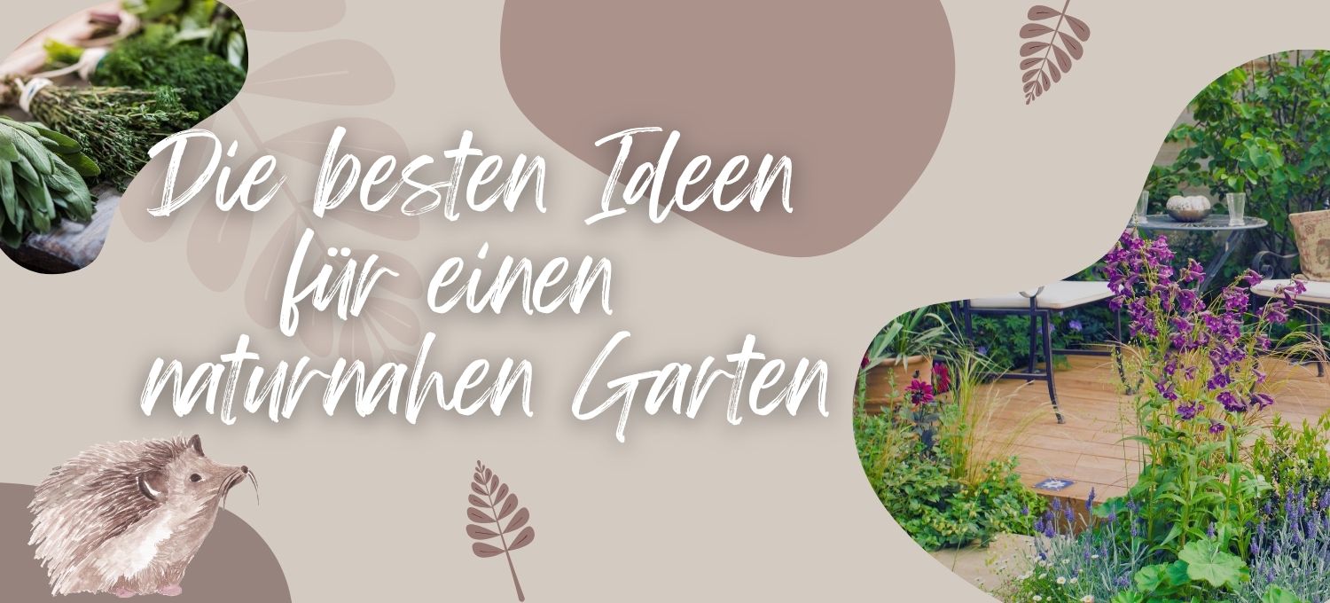 Blog-Ideen für einen naturnahen Garten
