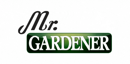 Mr. Gardener