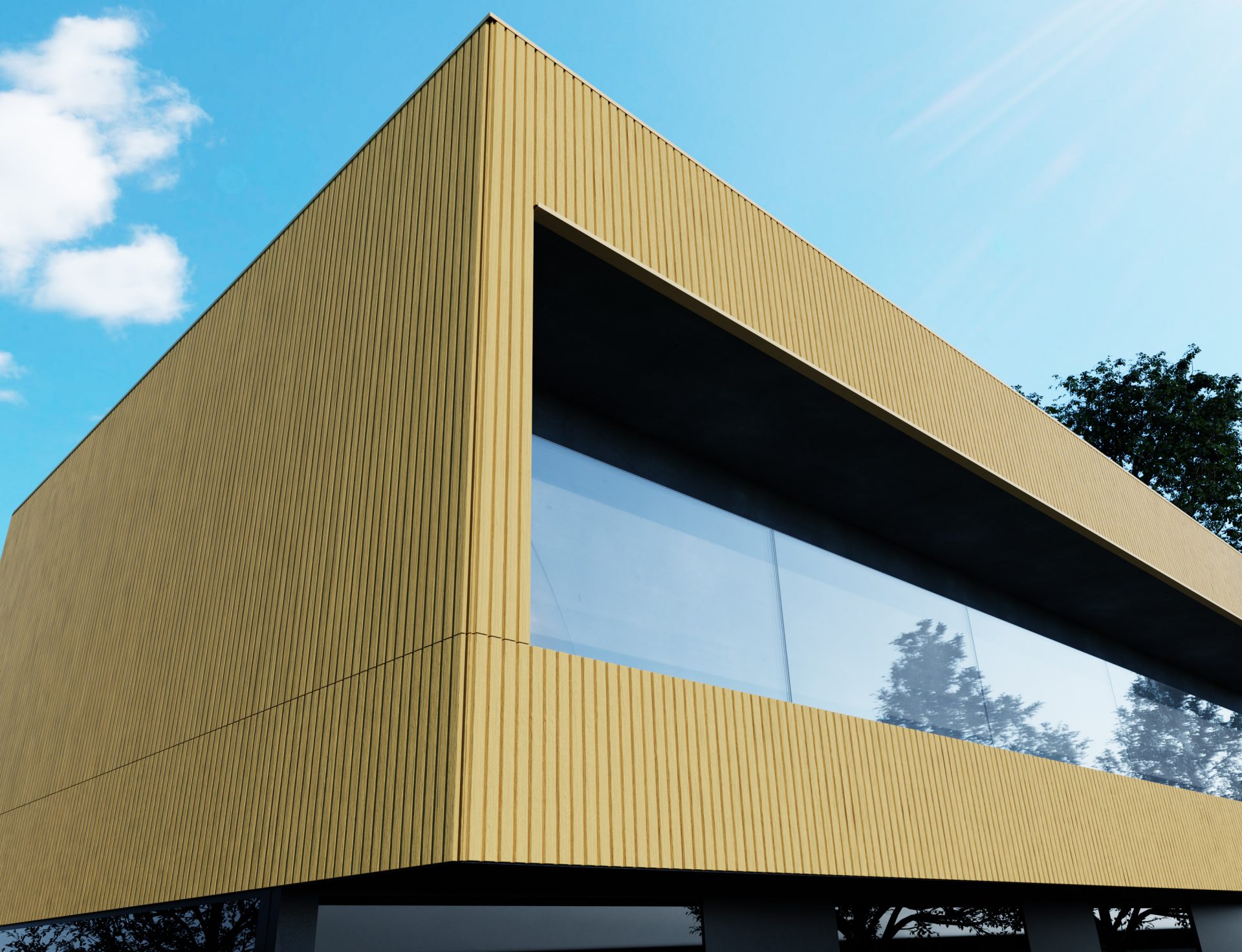 WEO60 Fassadenprofil WPC 33x170x2900mm