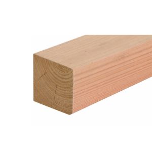 Douglasie 9 x 9 cm - Höhe: 200cm