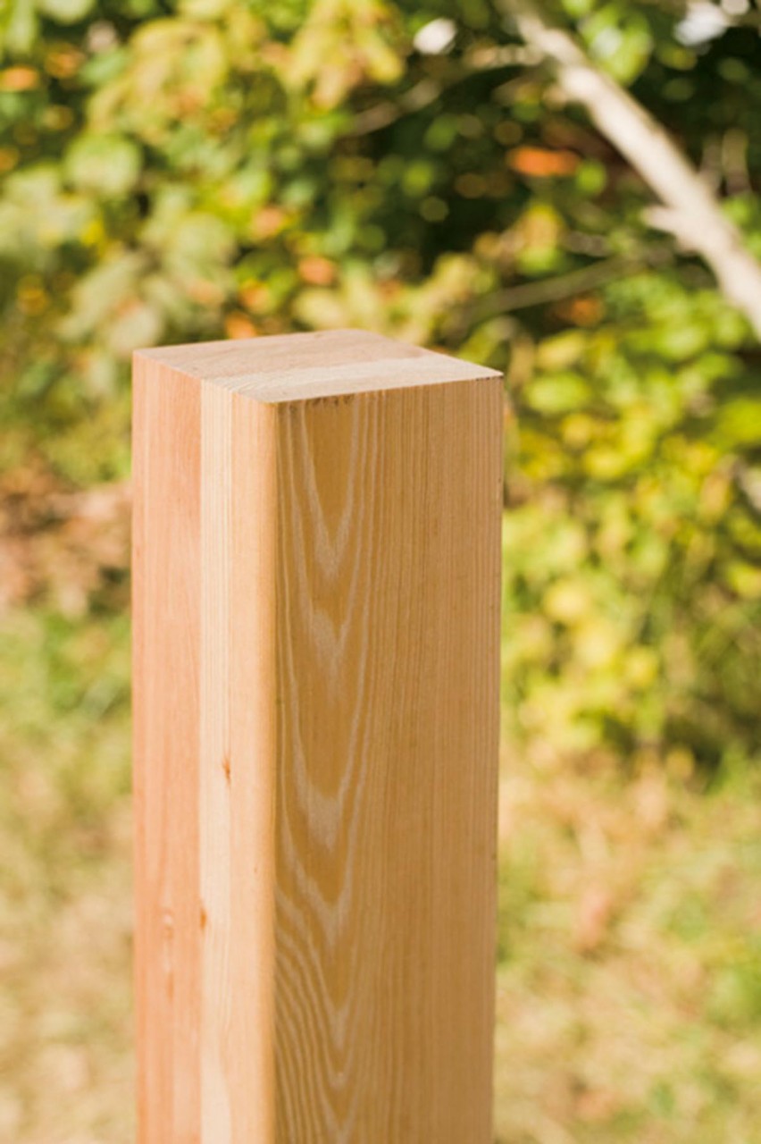 Leimholz Gebirgslärche 199 cm